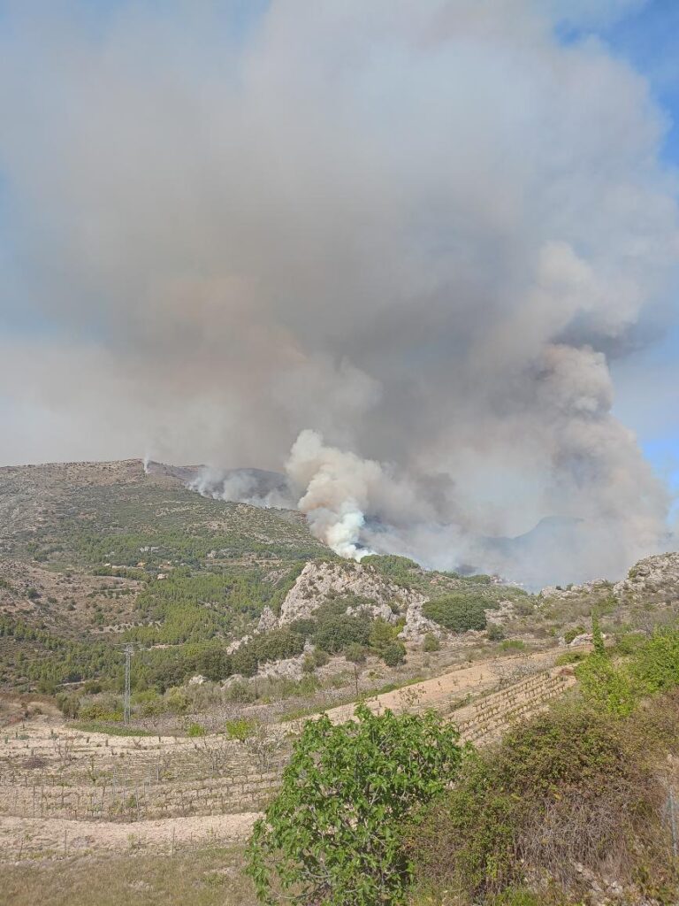 Declarat un incendi forestal en la Serra Ferrer, entre Tàrbena i Xaló.