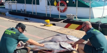 Denunciats els patrons de dues embarcacions a Alacant i Altea per pesca il·legal de tonyina roja