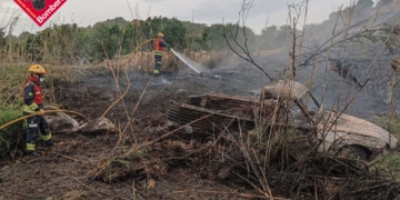 Els bombers extingeixen un incendi a Altea i salven una pinada