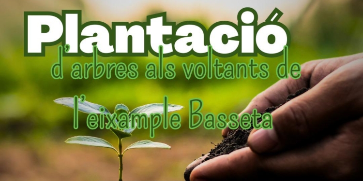 Altea celebra el Dia de l’Arbre amb una jornada de plantació