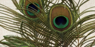 Castell de l’Olla.&nbsp; 1.500 quilos de pólvora en 21 minuts