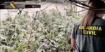La Guàrdia Civil desmantella una plantació de marihuana a la Vila Joiosa