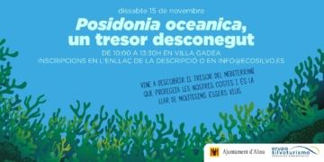 Descobreix el tresor del Mediterrani a Vila Gadea