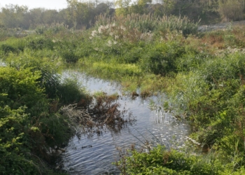 La restauració de la desembocadura del Riu Algar ja és una realitat La restauració de la desembocadura del Riu Algar ja és una realitat