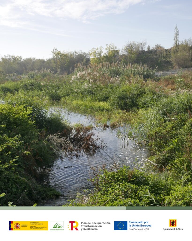La restauració de la desembocadura del Riu Algar ja és una realitat