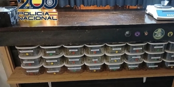 Desmantellat un punt de venda de drogues i detingudes dues persones a l’Alfàs del Pi