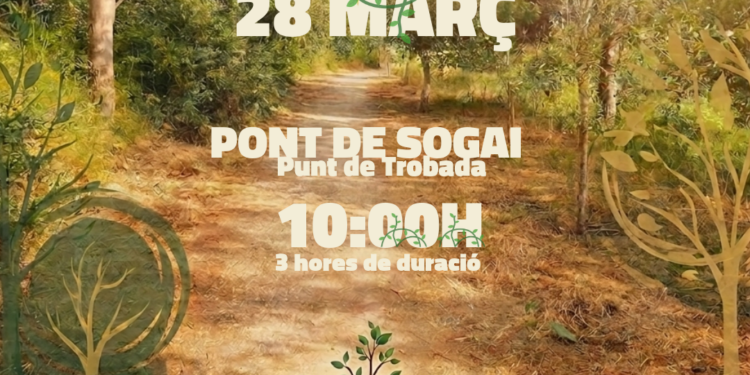 Altea celebra el Dia de l’Arbre dissabte que ve 28 de març amb una jornada de plantació participativa Altea celebra el Dia de l’Arbre dissabte que ve 28 de març amb una jornada de plantació participativa
