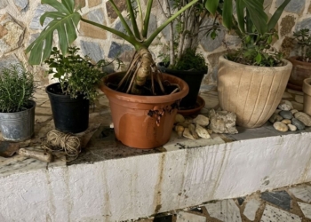 Fumadors irresponsables provoquen un conat d’incendi en la processó del Sant Enterrament a Altea Fumadors irresponsables provoquen un conat d’incendi en la processó del Sant Enterrament a Altea