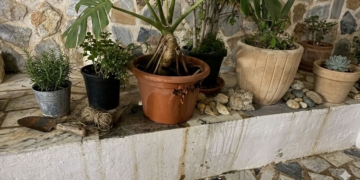 Fumadors irresponsables provoquen un conat d’incendi en la processó del Sant Enterrament a Altea Fumadors irresponsables provoquen un conat d’incendi en la processó del Sant Enterrament a Altea