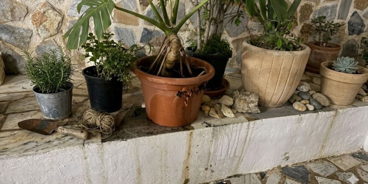 Fumadors irresponsables provoquen un conat d’incendi en la processó del Sant Enterrament a Altea Fumadors irresponsables provoquen un conat d’incendi en la processó del Sant Enterrament a Altea