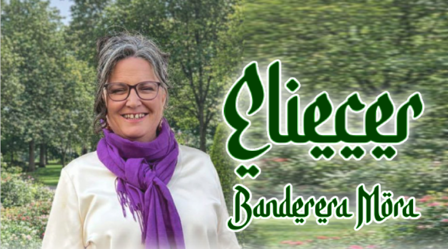 Saluda Eliecer, Bandera Mora de la Filà Malvins