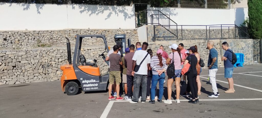 Alta participació en les accions del Pla d’Ocupació de Creu Roja a Altea Alta participació en les accions del Pla d’Ocupació de Creu Roja a Altea