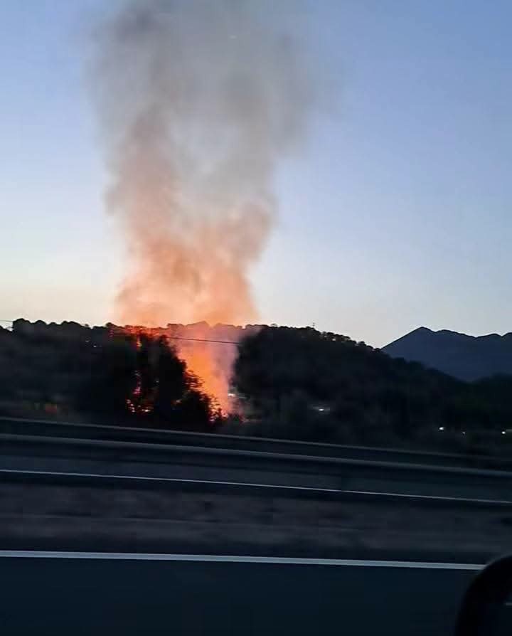 Un incendi de vegetació forestal mobilitza els serveis d’emergència a Altea Un incendi de vegetació forestal mobilitza els serveis d’emergència a Altea