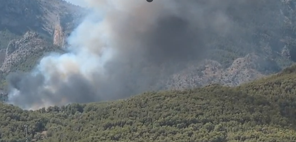 Declarat un incendi de vegetació a Polop, a la zona de Bacorero