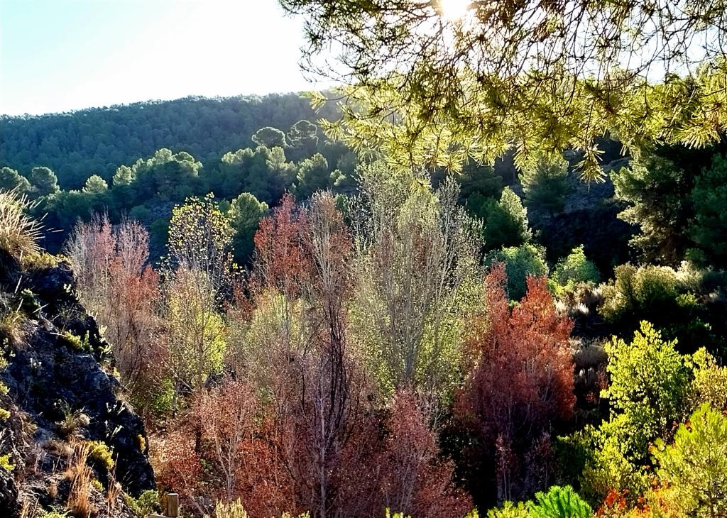 La tardor comença hui amb més calor de l’habitual